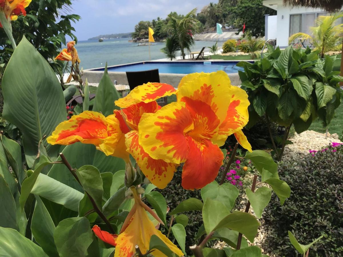 Bamboobeachvilla2 Ac New Oceanfront Pool Sunsetview Garden Kitchen Satellite Starlink Wi-Fi Dimiao Kültér fotó